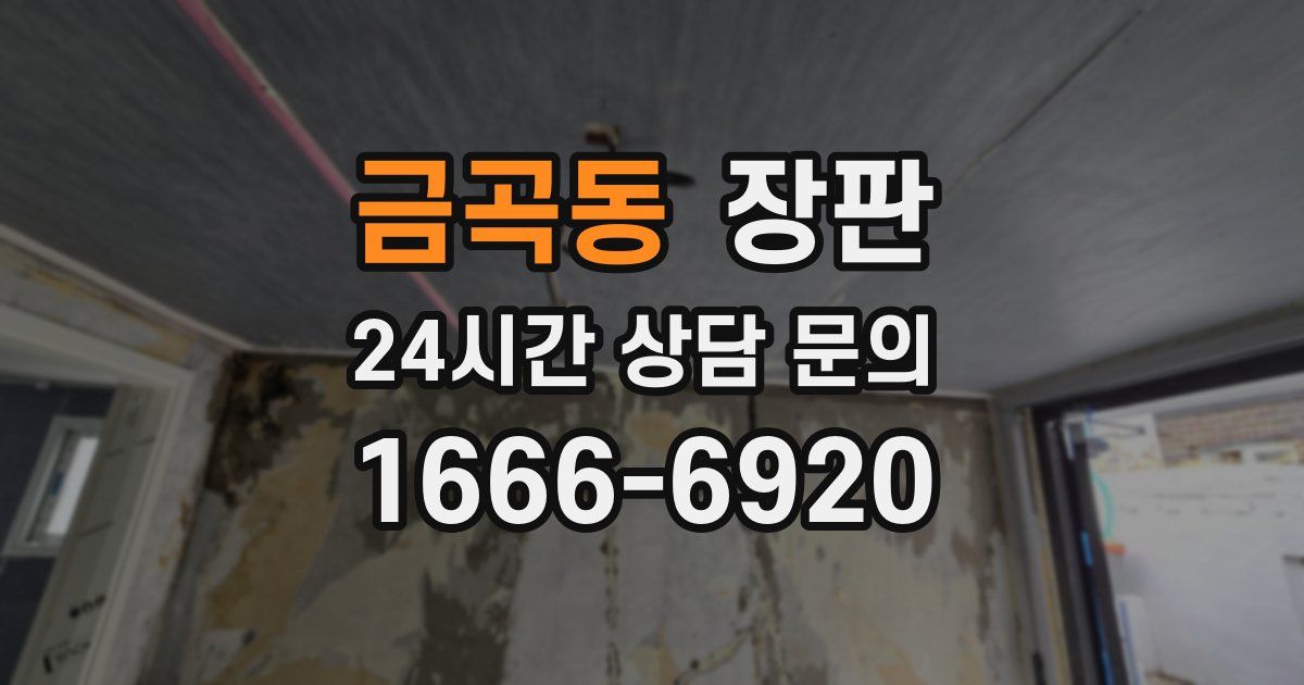 금곡동 장판