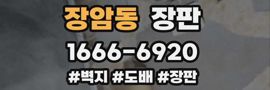 장암동 장판