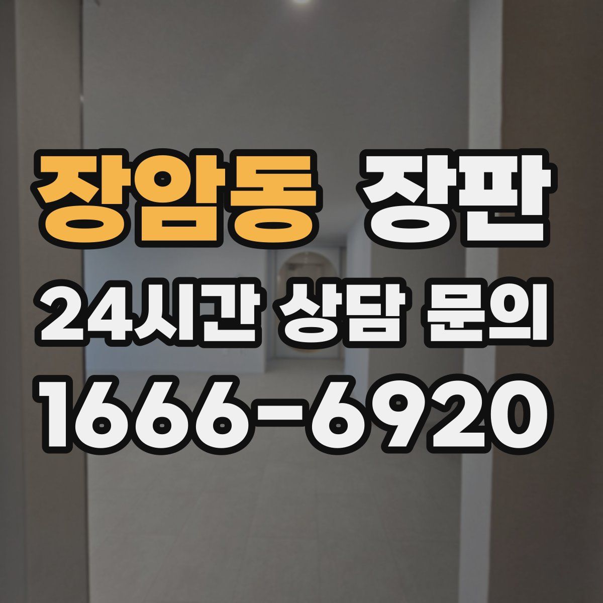 장암동 장판