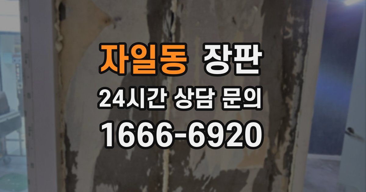 자일동 장판