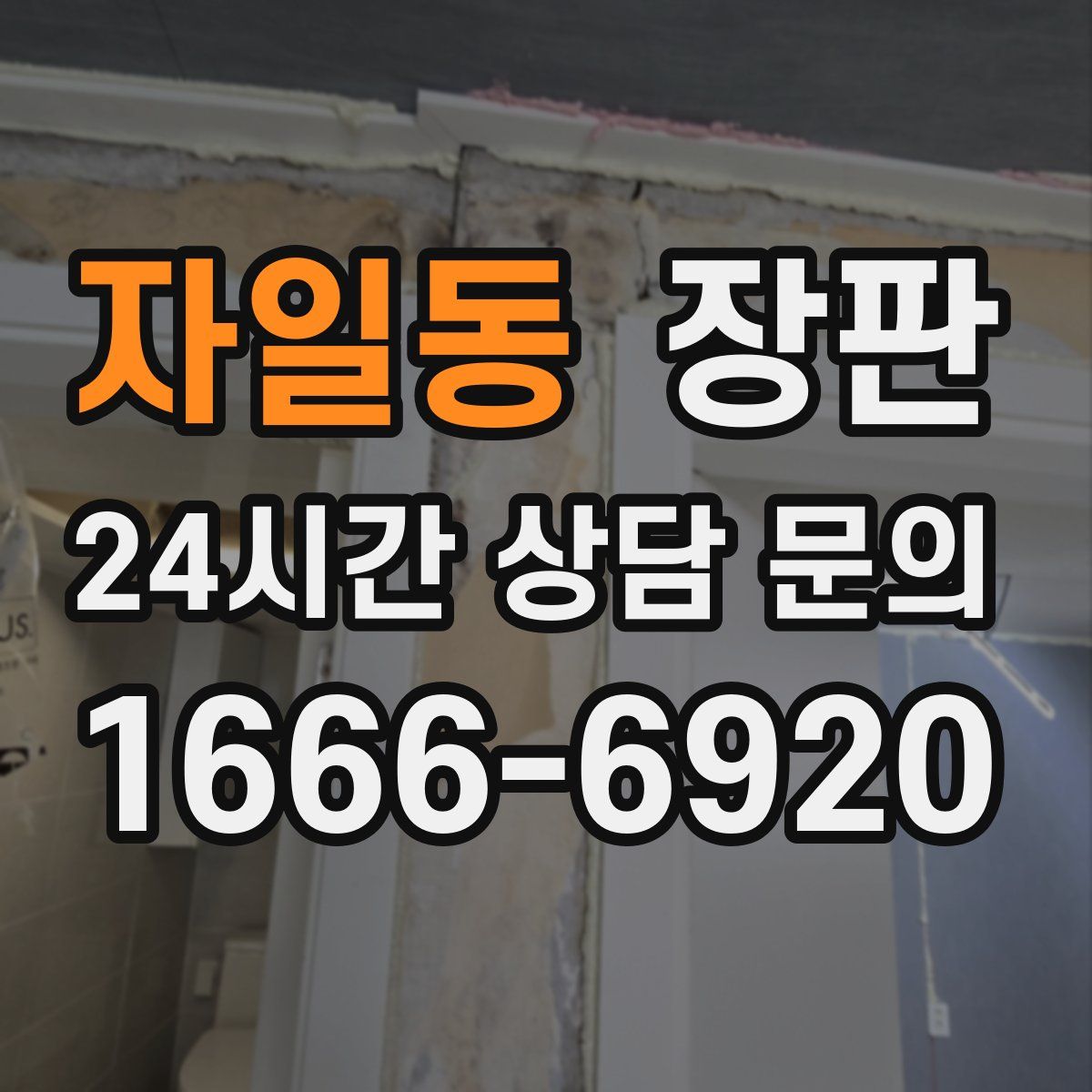 자일동 장판