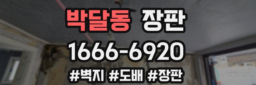 박달동 장판