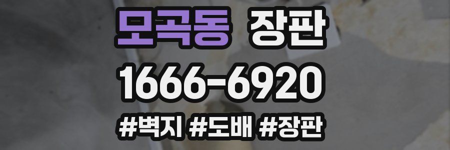 모곡동 장판