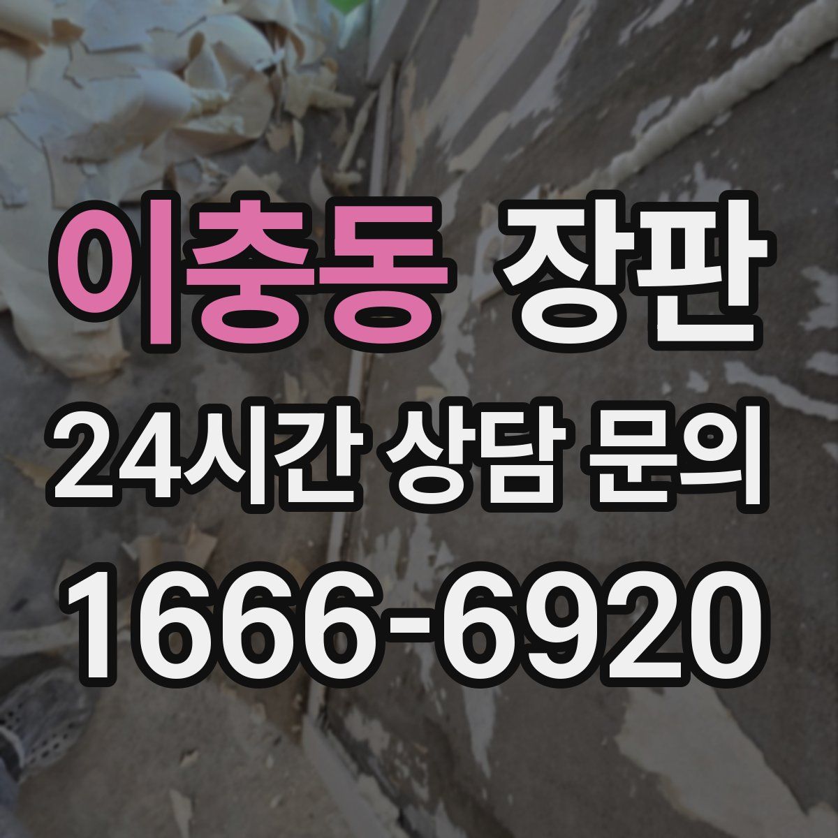 이충동 장판