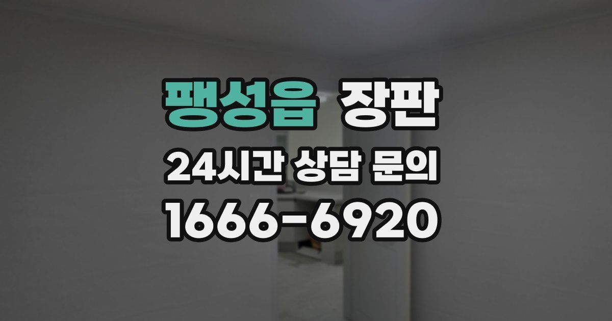 팽성읍 장판