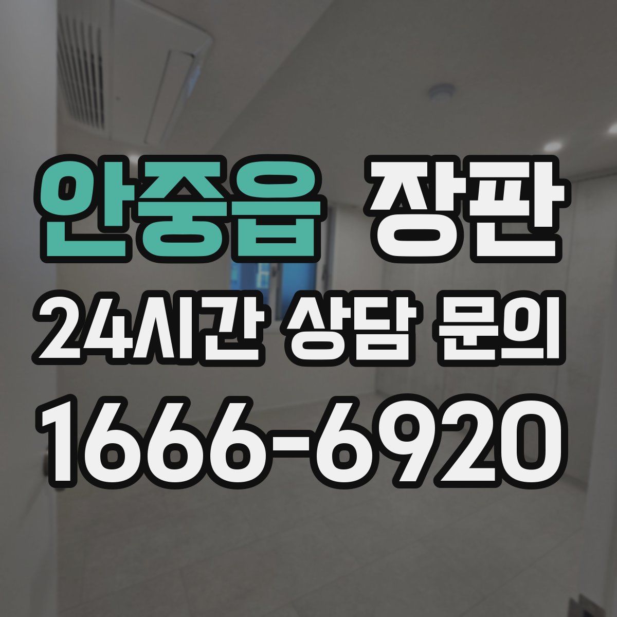 안중읍 장판