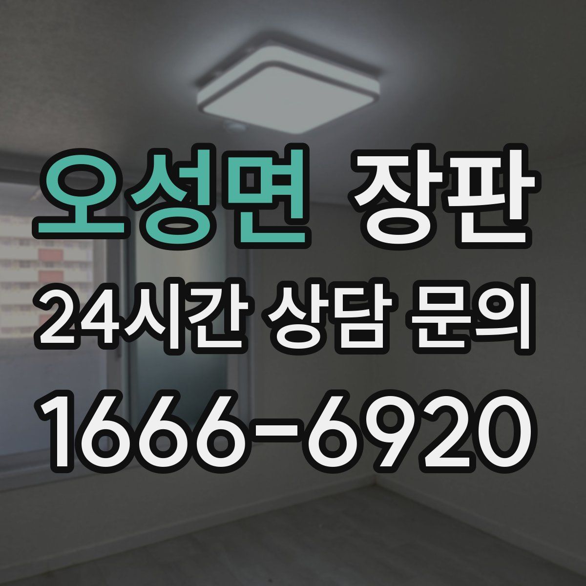 오성면 장판