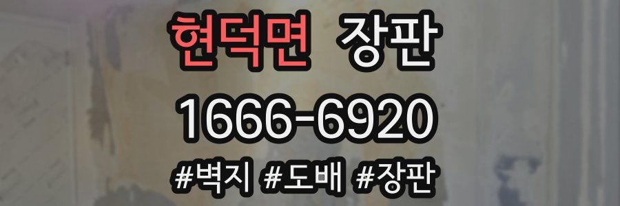 현덕면 장판