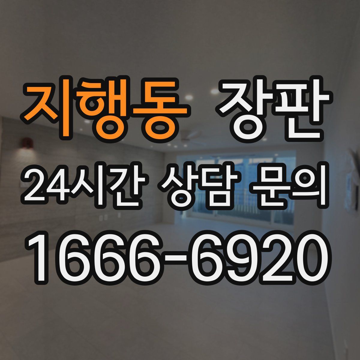 지행동 장판