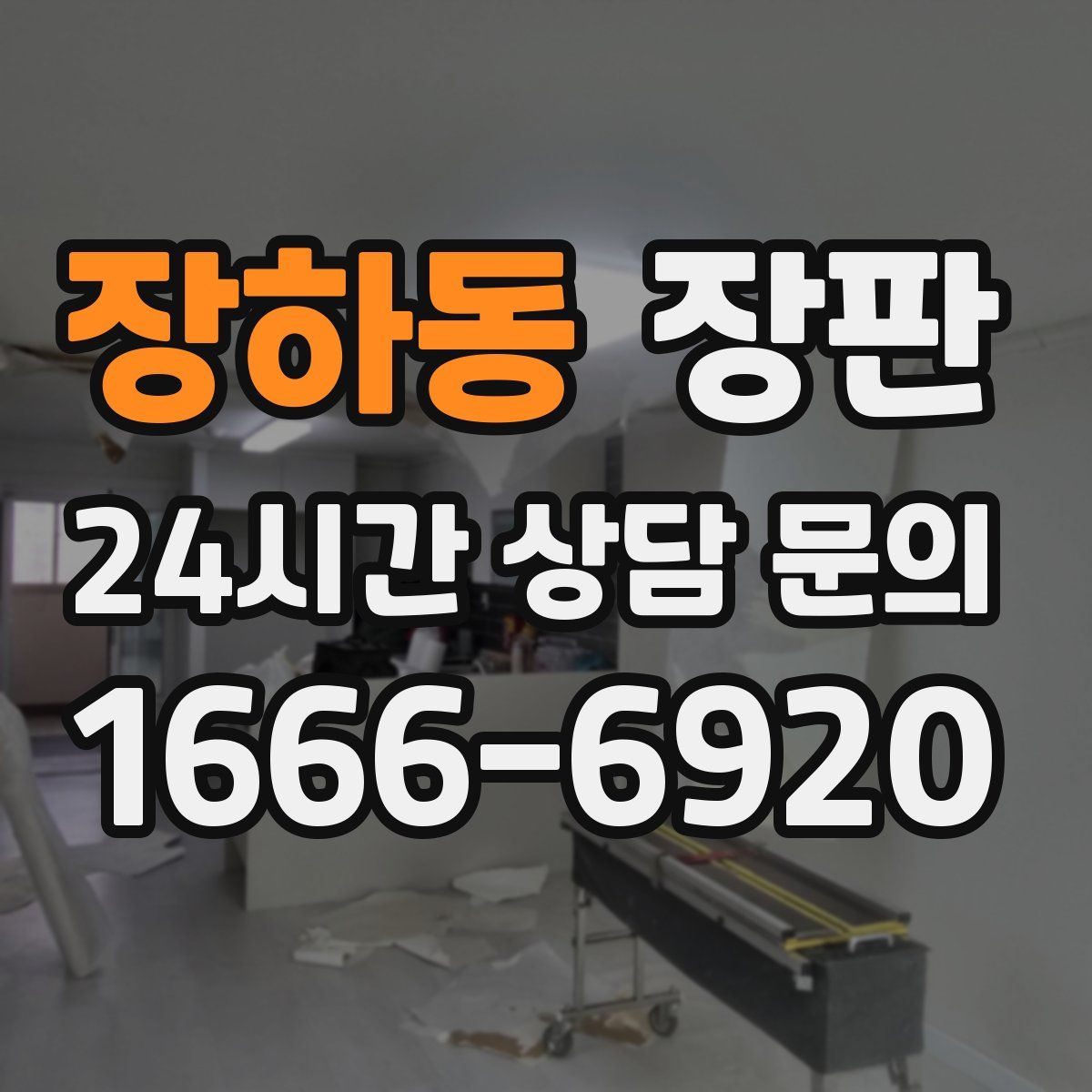 장하동 장판