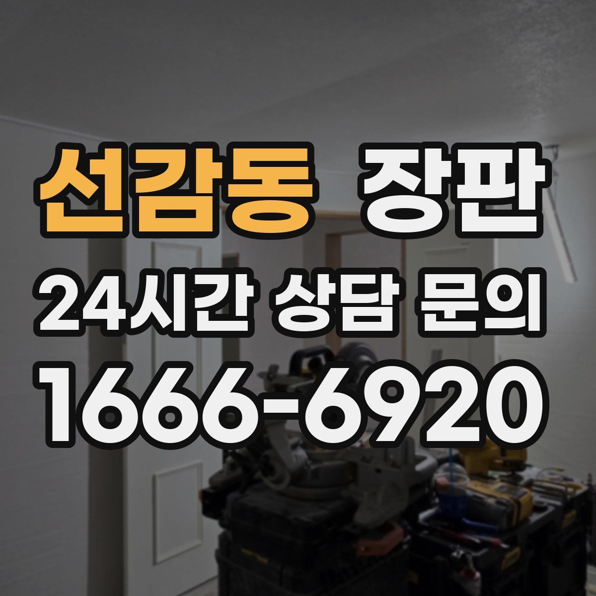 선감동 장판