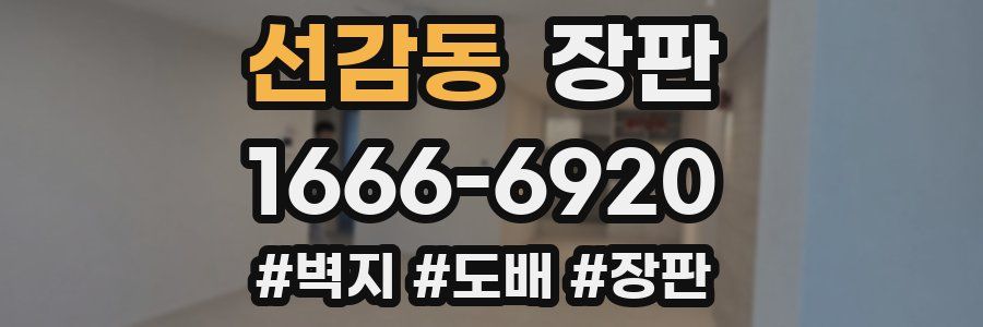 선감동 장판