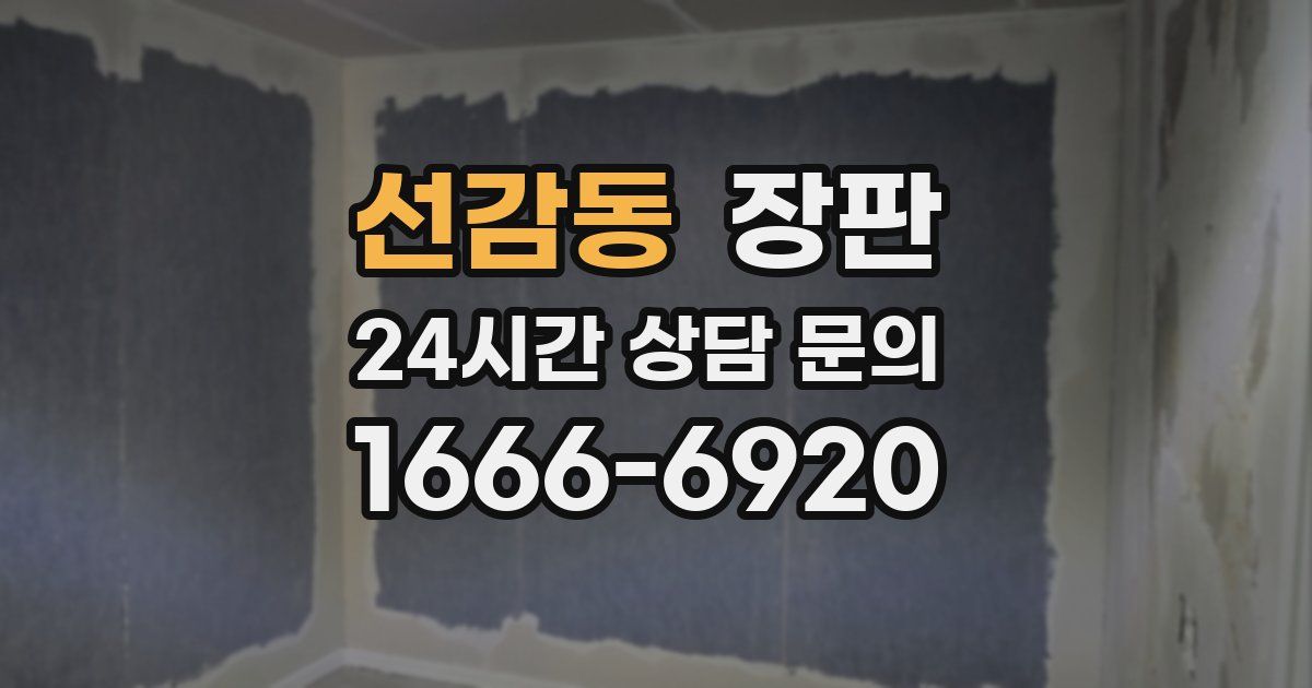 선감동 장판