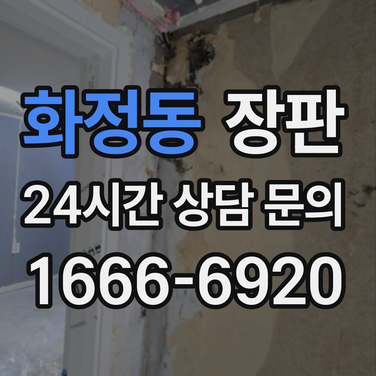 화정동 장판