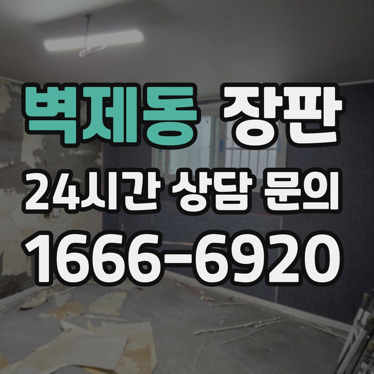 벽제동 장판