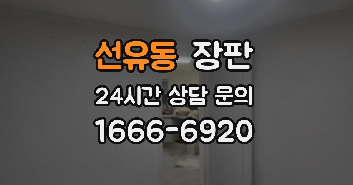 선유동 장판
