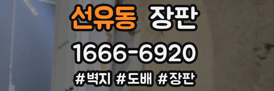 선유동 장판