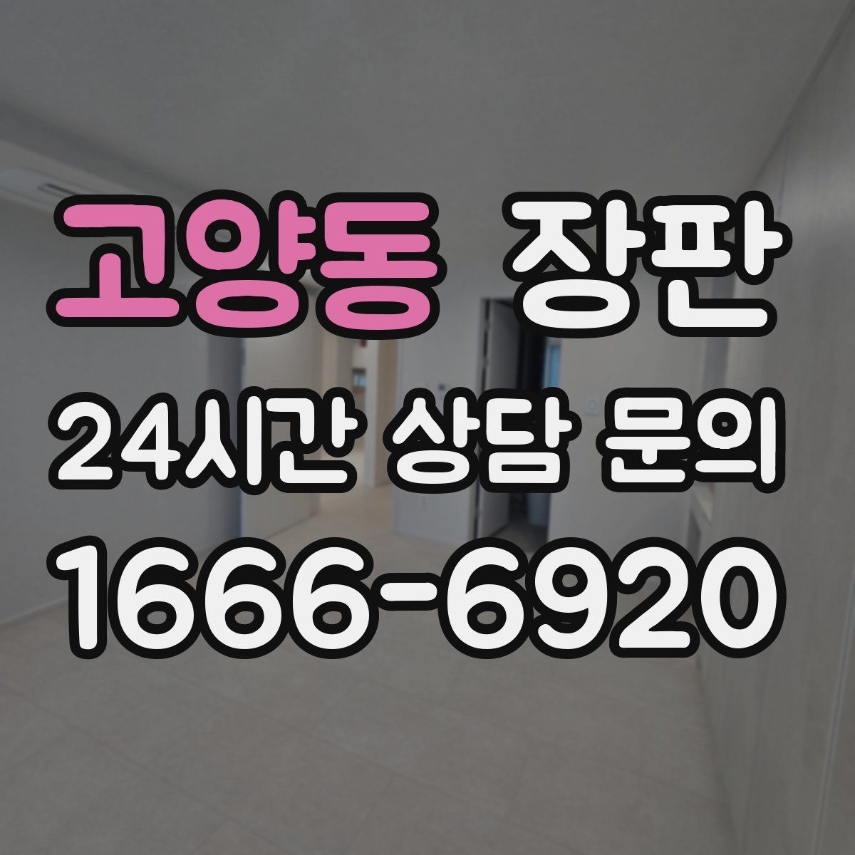 고양동 장판