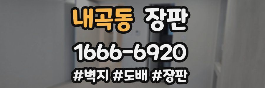 내곡동 장판