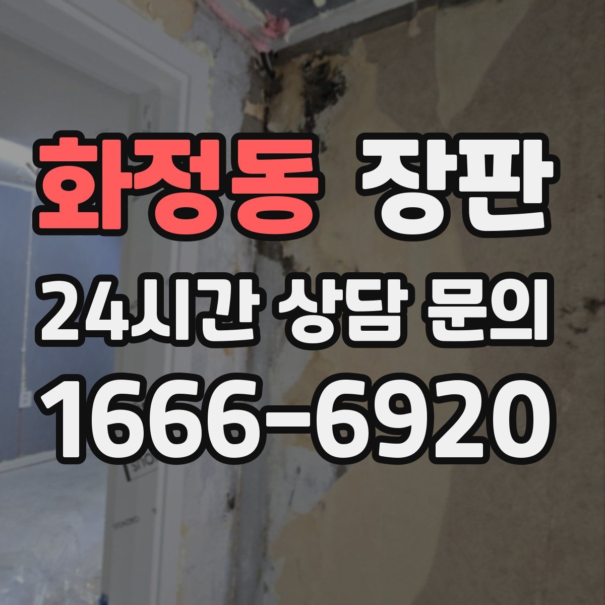 화정동 장판