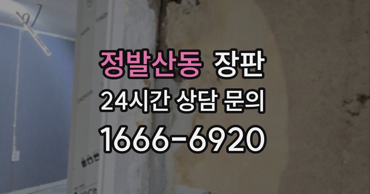 정발산동 장판