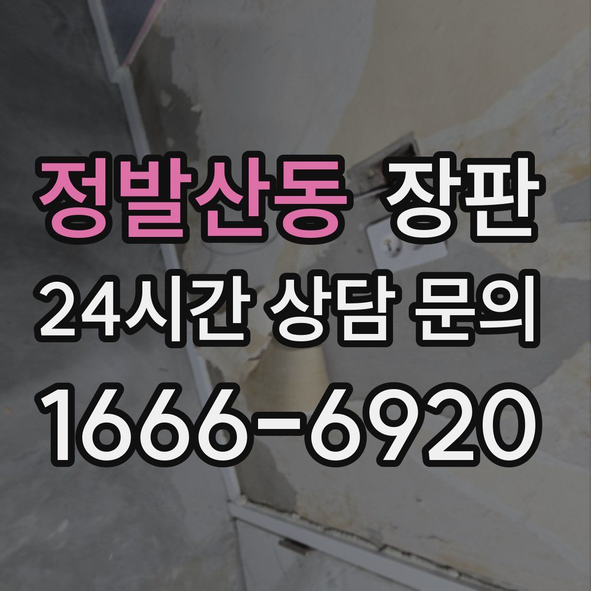 정발산동 장판
