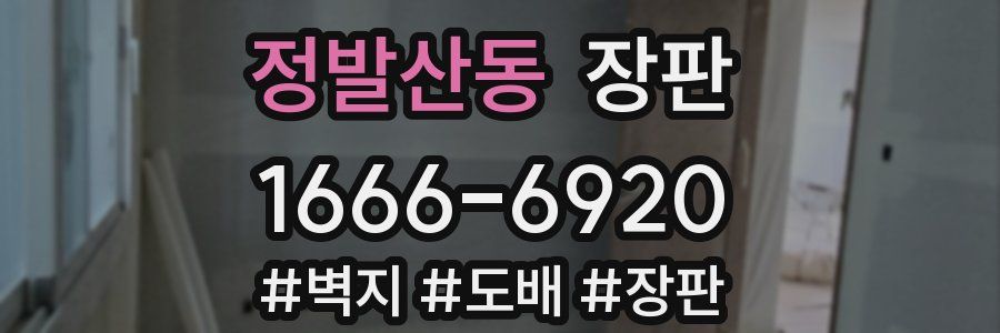 정발산동 장판