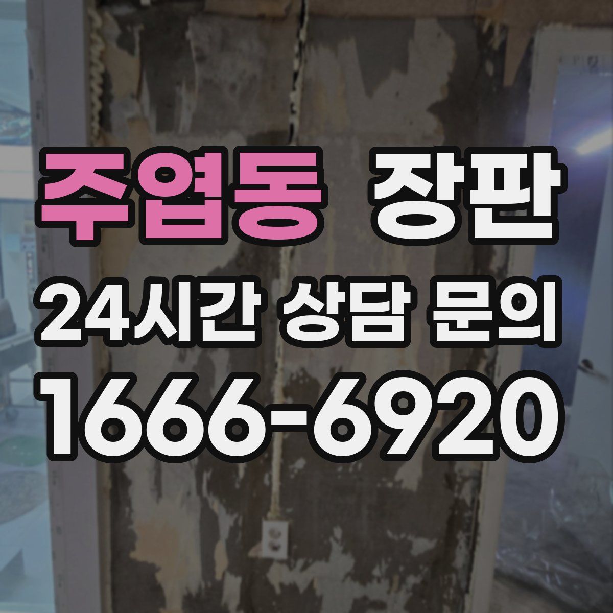 주엽동 장판