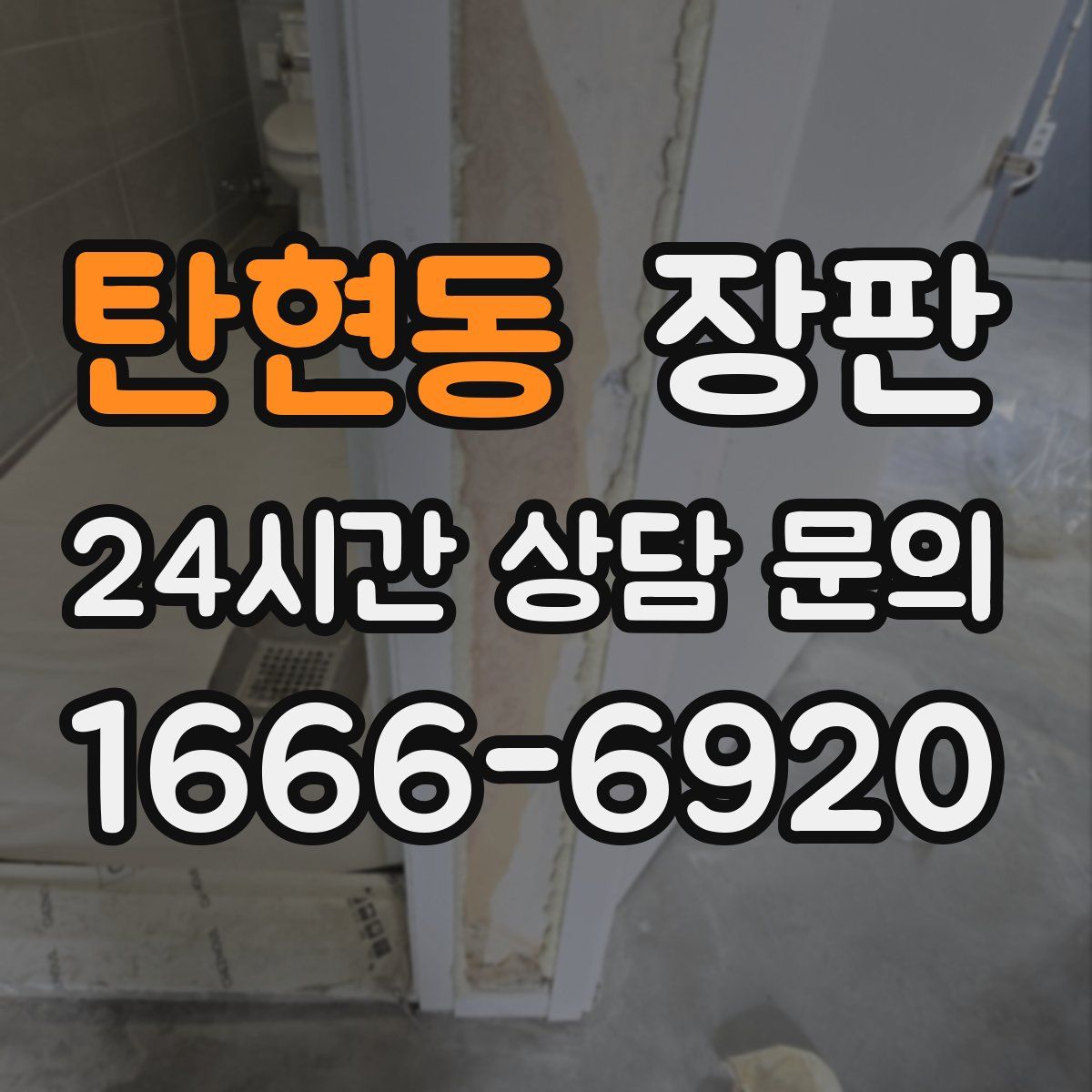 탄현동 장판