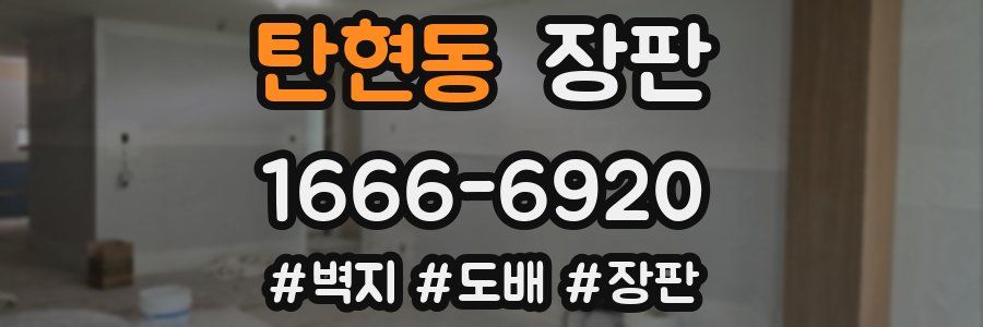 탄현동 장판