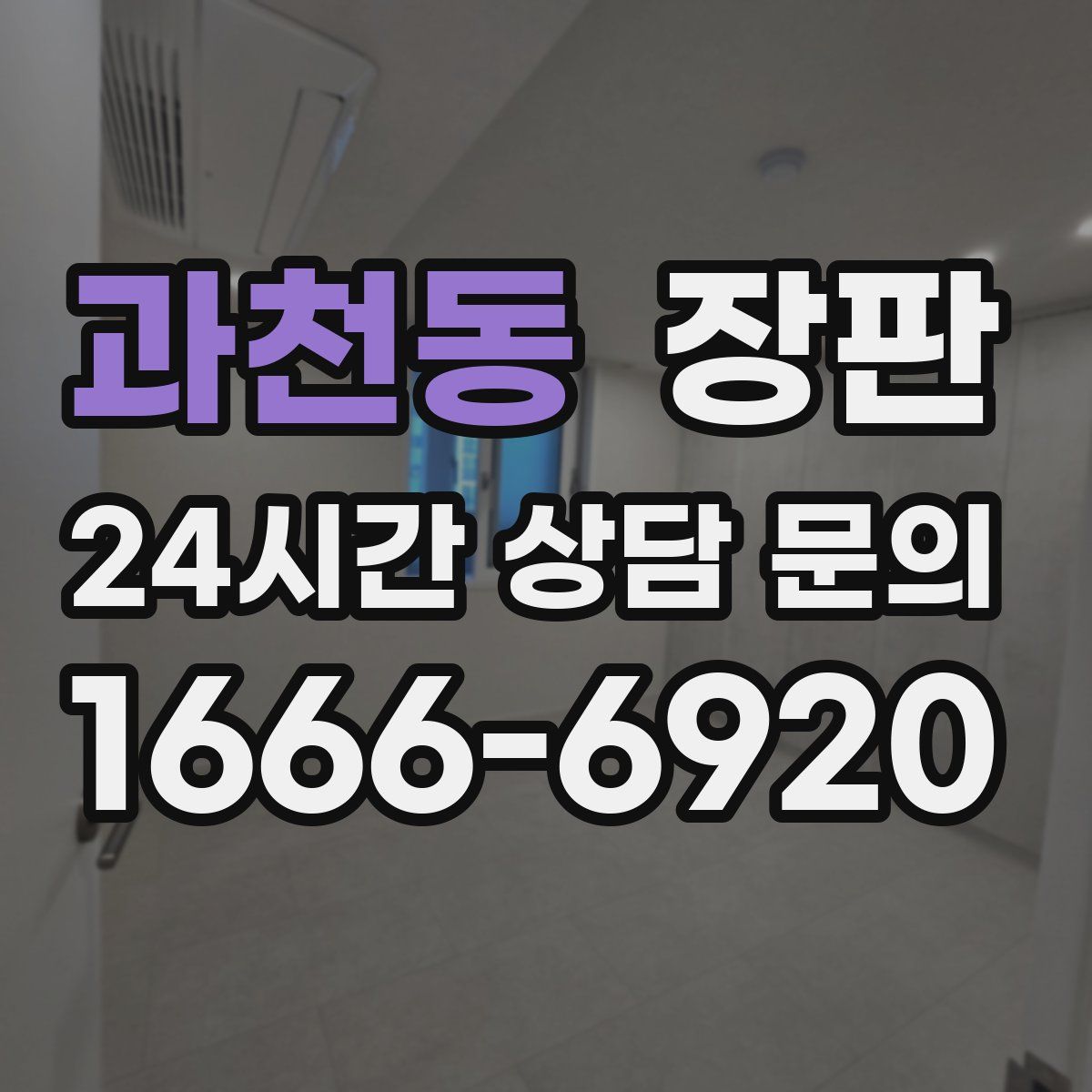 과천동 장판