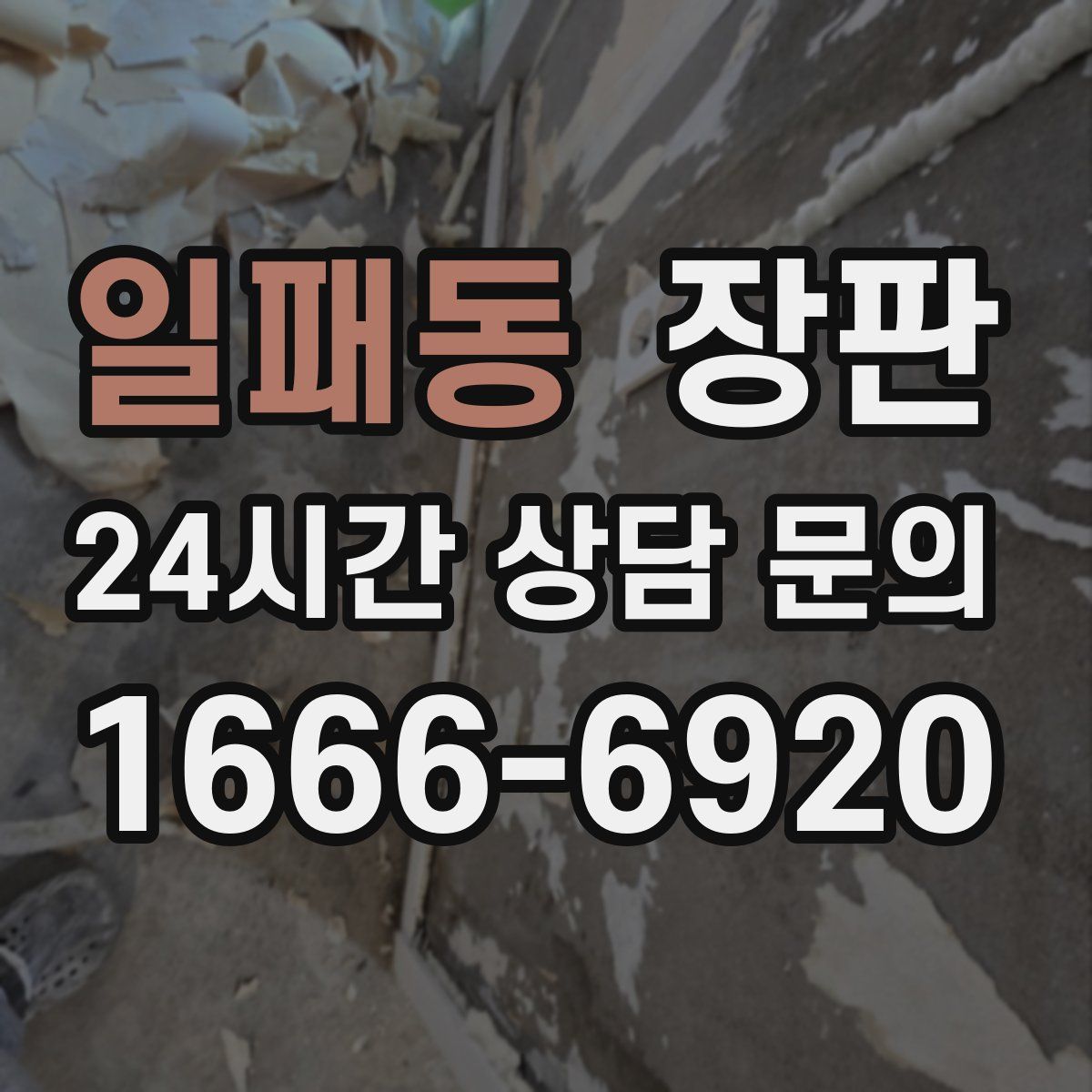 일패동 장판