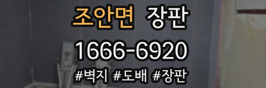 조안면 장판