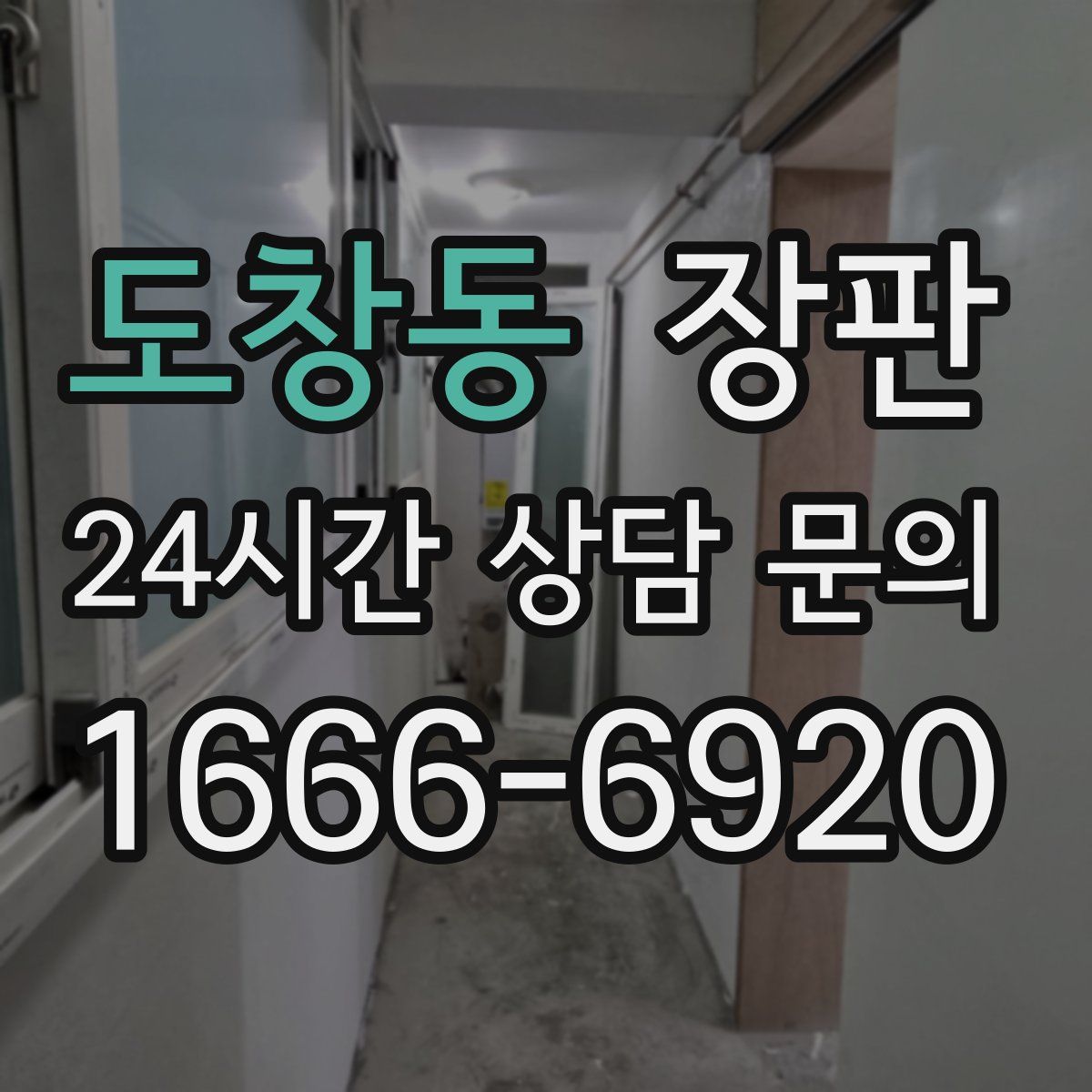 도창동 장판