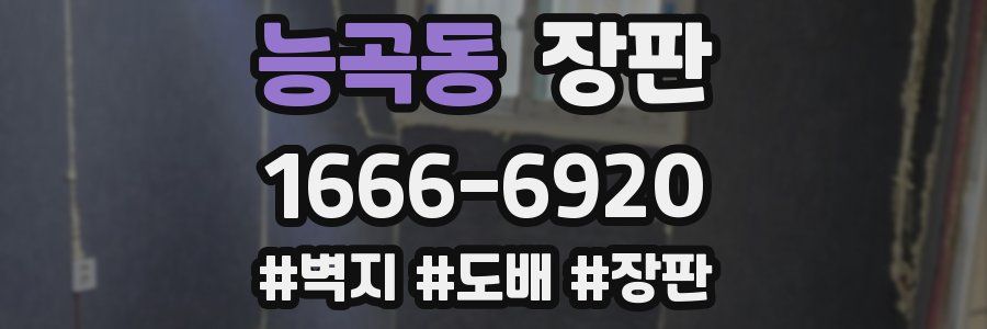 능곡동 장판