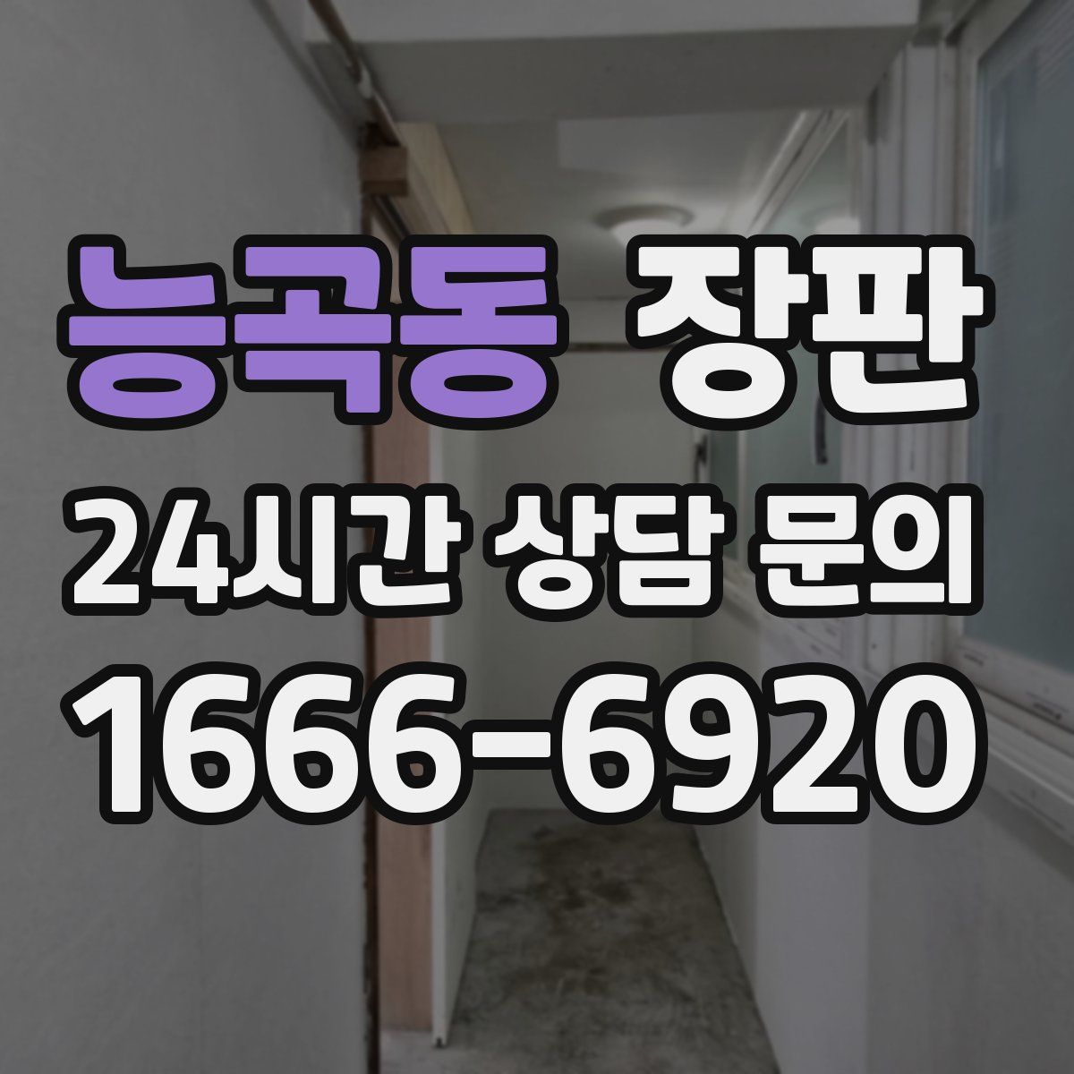 능곡동 장판