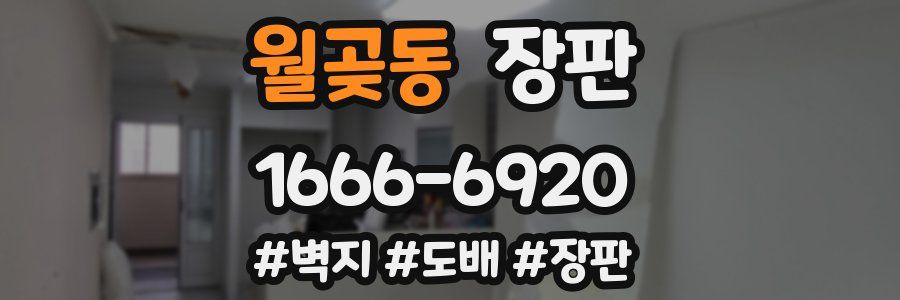 월곶동 장판
