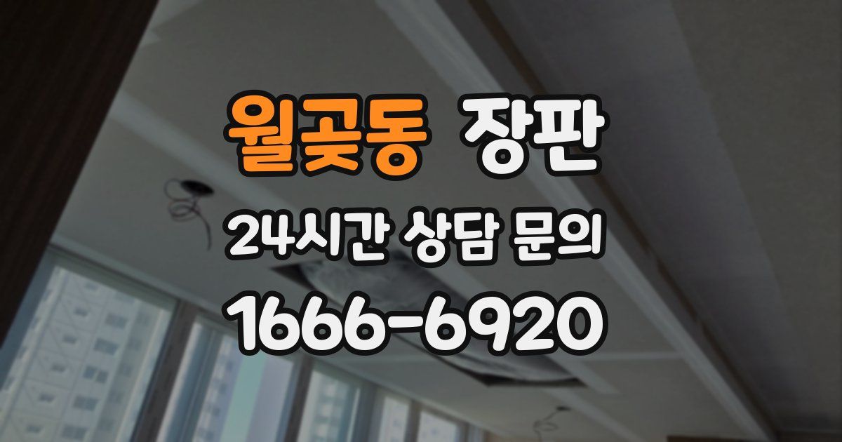월곶동 장판