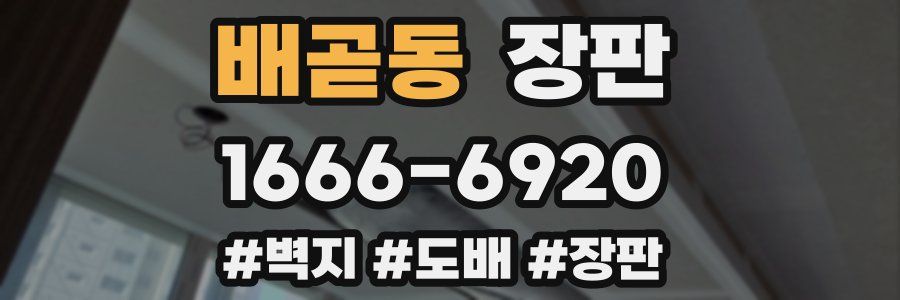 배곧동 장판