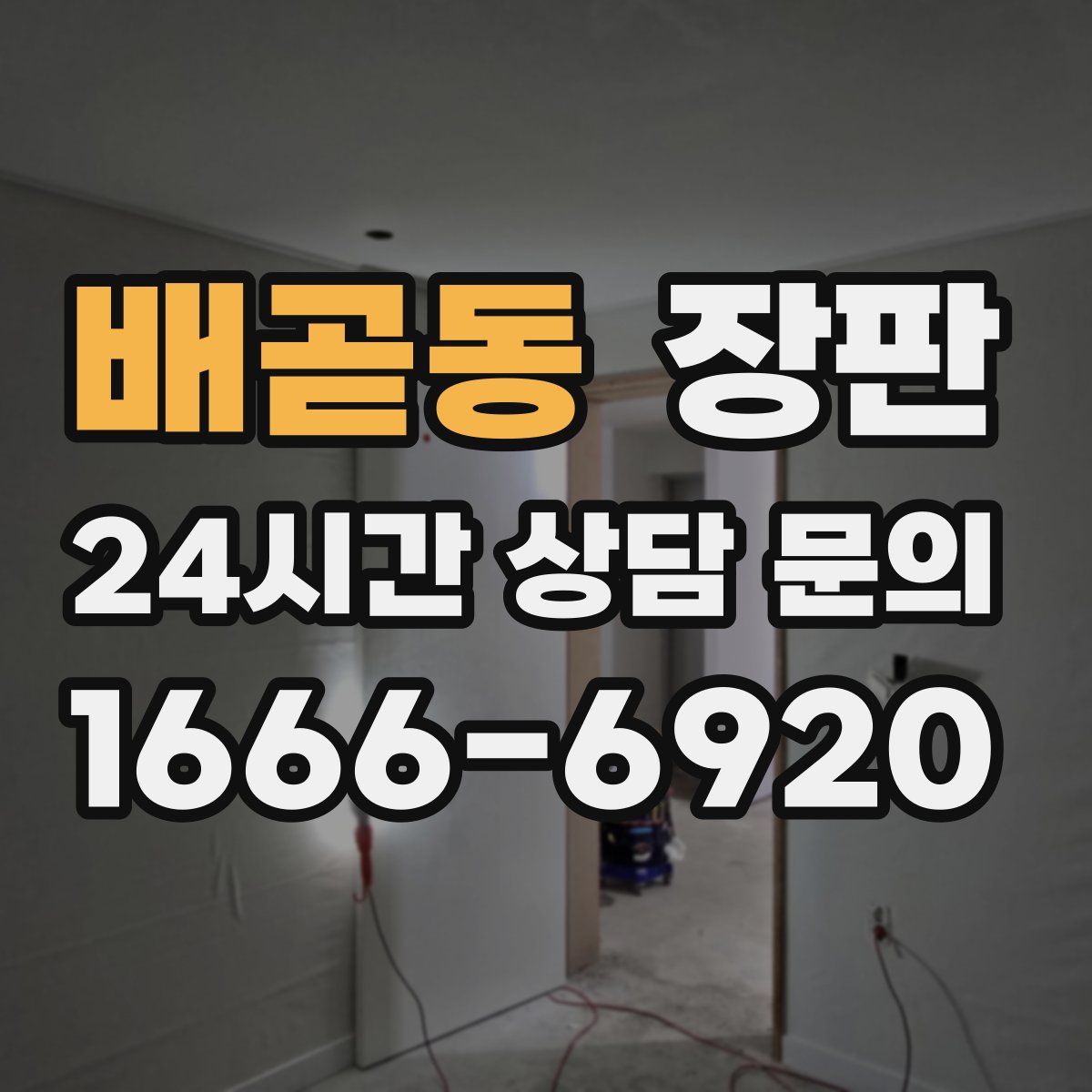 배곧동 장판