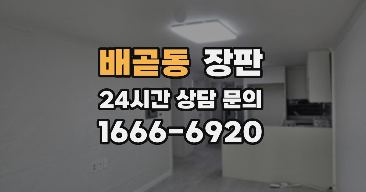 배곧동 장판