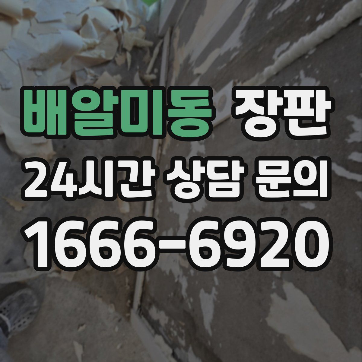 배알미동 장판