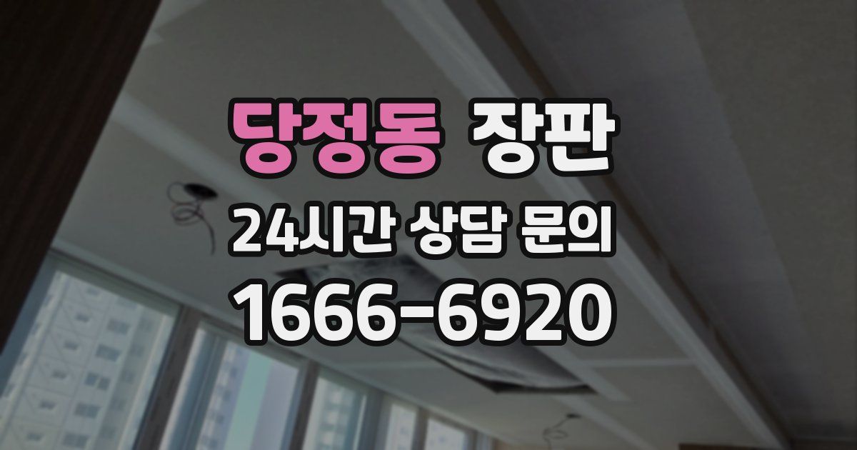당정동 장판