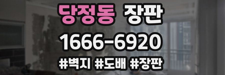당정동 장판