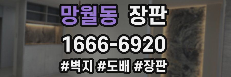 망월동 장판
