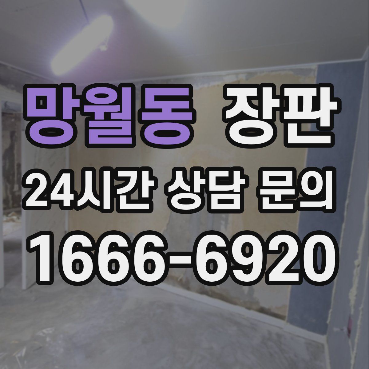 망월동 장판