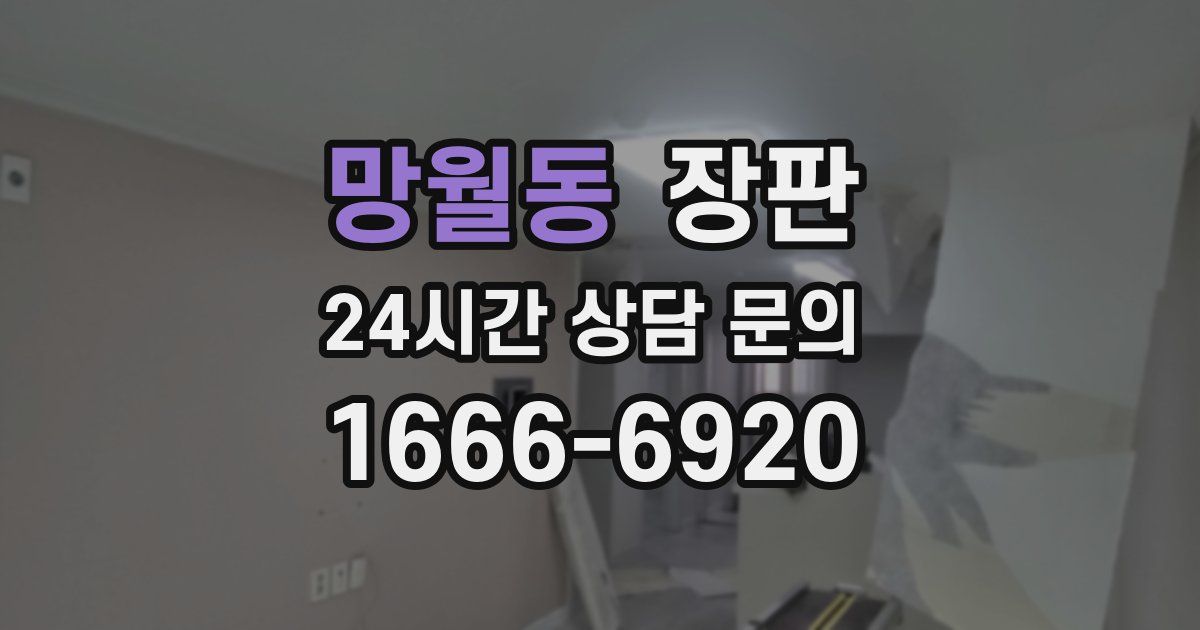 망월동 장판
