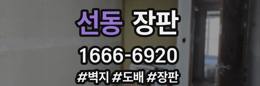 선동 장판