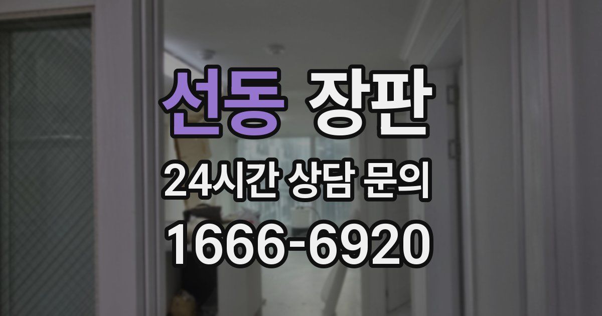 선동 장판