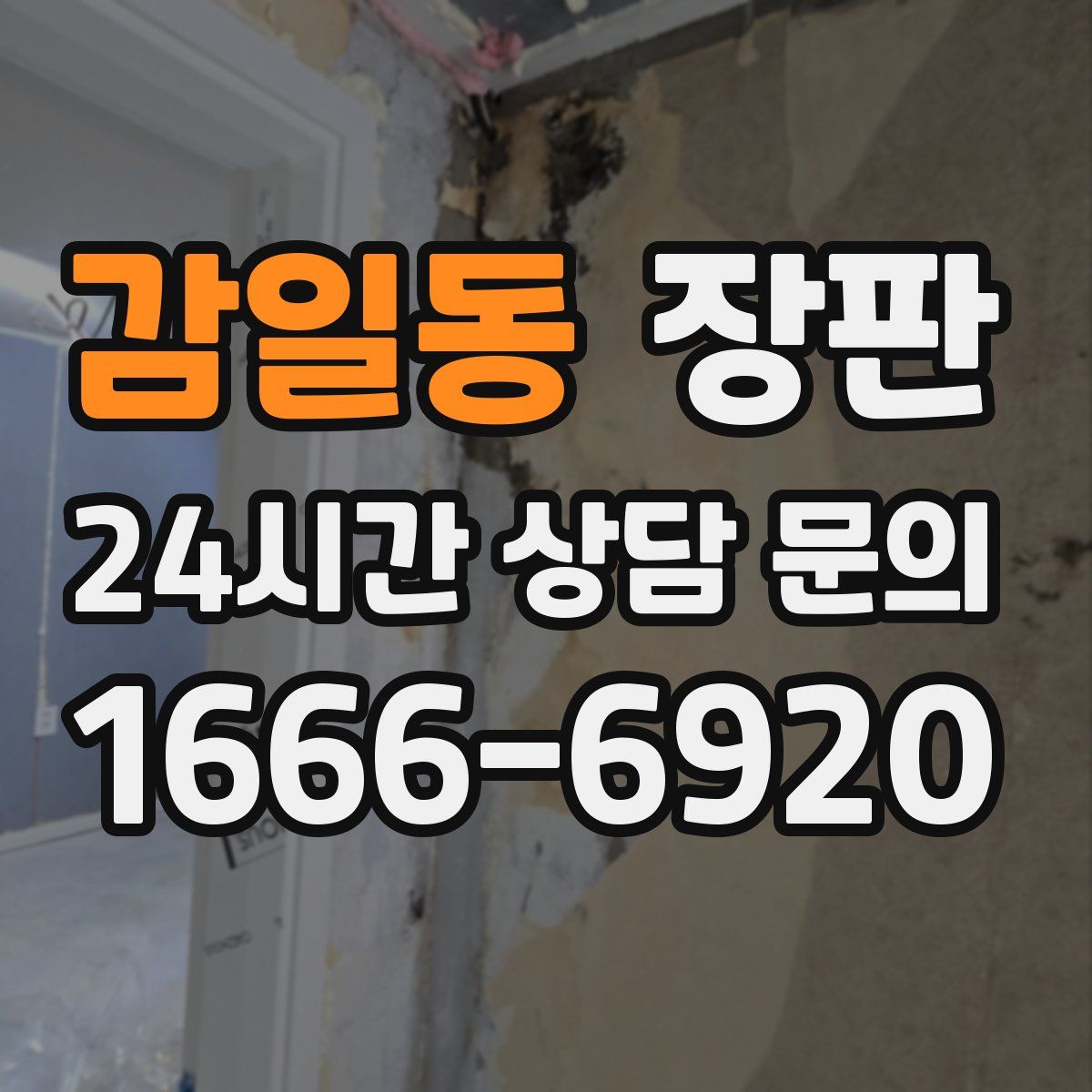 감일동 장판